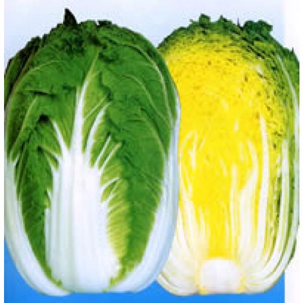 ynNTCqzzinӍ̎j@uc65ijv@65^@1.1ml@V^l̂͂6ȍ~ƂȂ܂