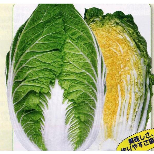 ynNTCqz@@zinӍ̎j@@u75ijv@75^@150ybg@V^l̂͂͂Uȍ~ƂȂ܂