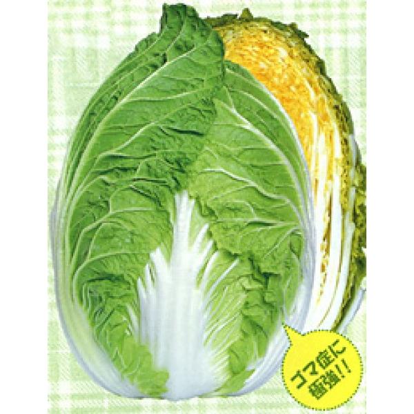 ynNTCqzzinӍ̎j@u65ijv@65^@0.9ml@@V^l̂͂6ȍ~ƂȂ܂