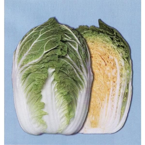 ynNTCqz@zinӍ̎j@u90ijv@90^@1@sV^l̂͂6ȍ~ƂȂ܂