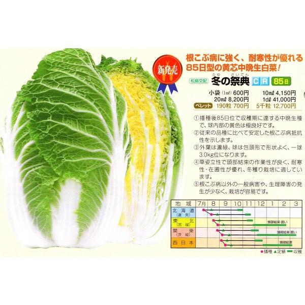 ynNTCqz@zinӍ̎j@u~̍ՓT@iӂ̂Ăjv@85^@10@sV^l̂͂6ȍ~ƂȂ܂