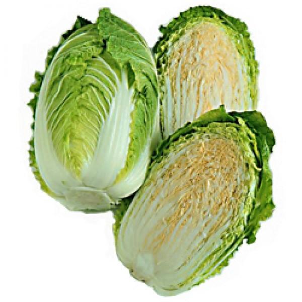 ynNTCqznӌzinӔ_ju~75iӂƂ炢75jv75^@