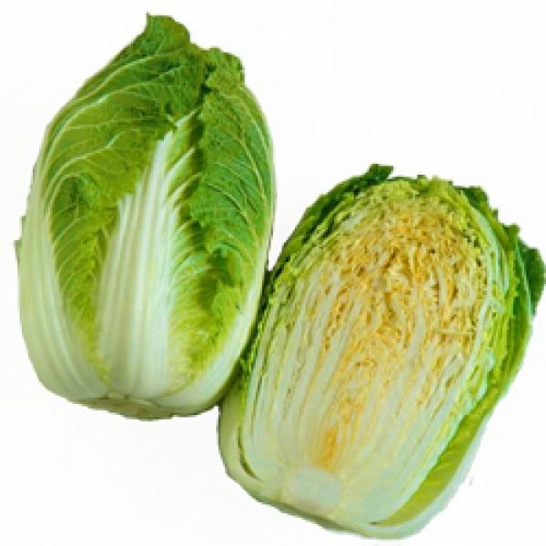 ynNTCqznӌzinӔ_ju~90iӂƂ炢jv90^@5000R[g