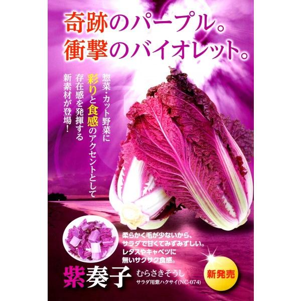 ynNTCqzigc@؁@utqiނ炳jv@70^@R[gq2000@V^l6{ȍ~