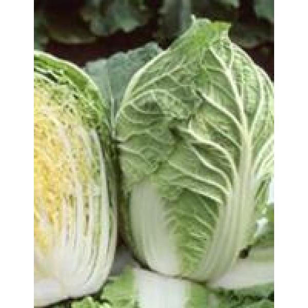 ynNTCqz@TJ^z@@uԂ70v@