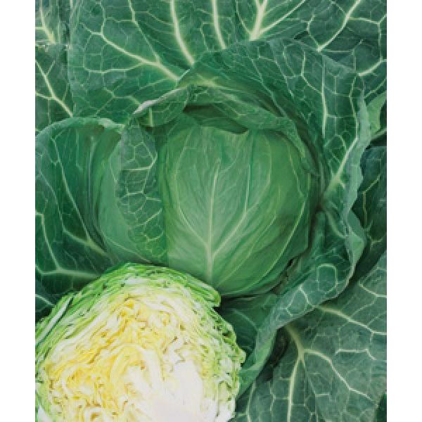 yLxcqz^LCz@ut̂قroi͂̂jvDF܁@150@V^l̂͂7ȍ~ƂȂ܂