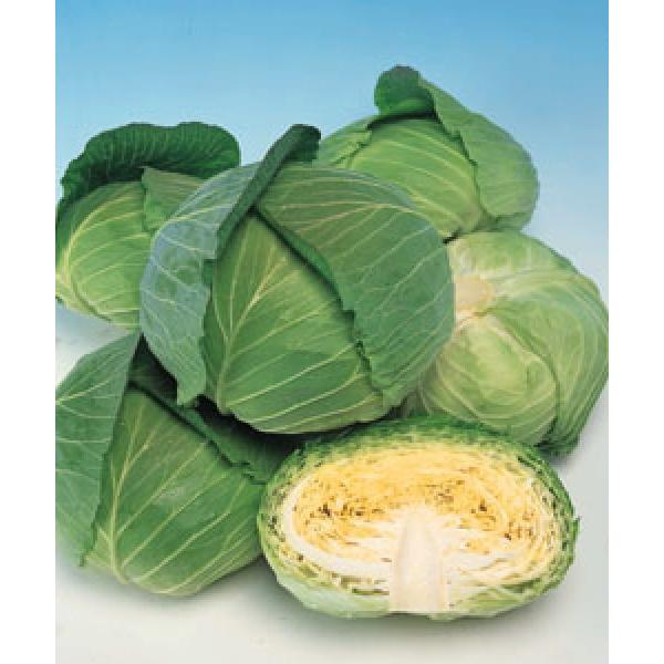 yLxcqz^LCz@uʕi₩jv@2000@sił