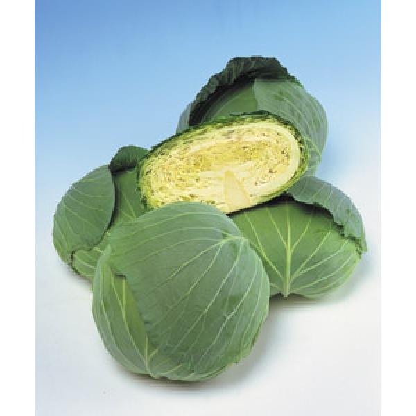 yLxcqz^LCz@uʗi₳Ɓjv@2000@sił