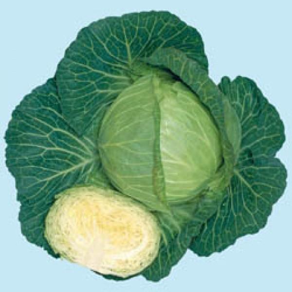 yLxcqz^LCz@uʕi݂ˁjvDF܁i1mlj