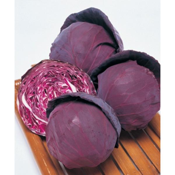 yLxcqz^LCz@bhLxcup[r[v2000@[J[/s