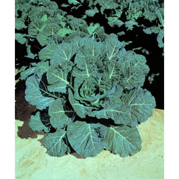 yR[hqz^LCzi^LCcj@`punCNbvv20@[J[/s