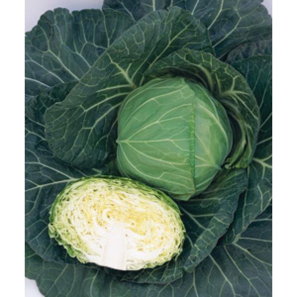 yLxcqz^LCz@uSPiق݂jv@2000@sV^l̂͂6ȍ~ƂȂ܂