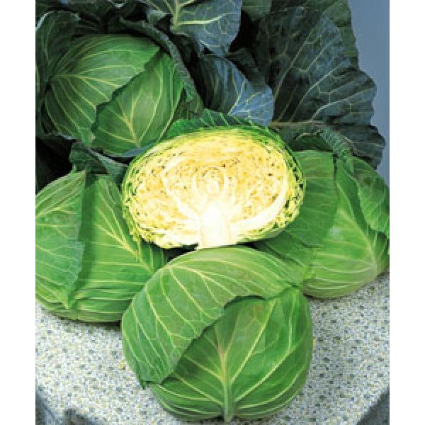 yLxcqz^LCzi^LCcj@ʉiˁjDF܁i1.2mlj