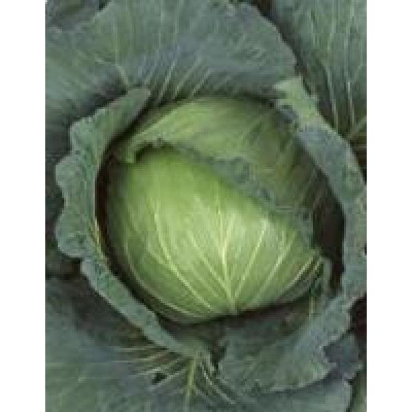 yLxcqzTJ^z@uViĂjv@2000@