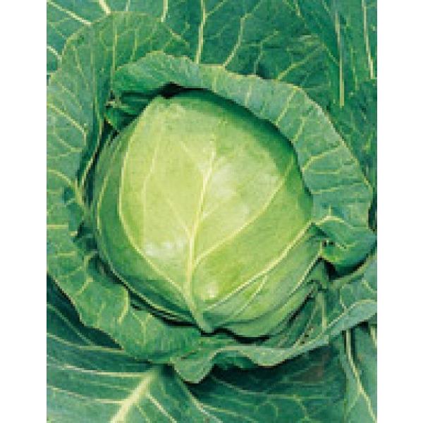 yLxcqzTJ^z@@uA[[{[v@ybg5000@[J[/s