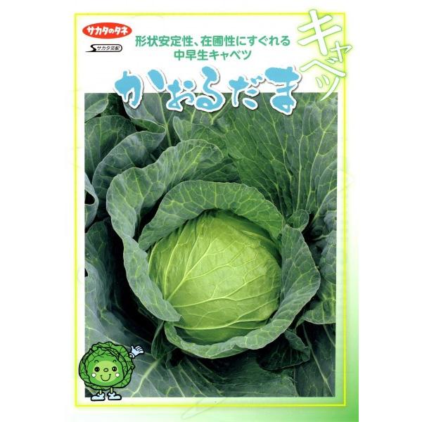 yLxcqzTJ^z@@u邾܁v@ybg5000