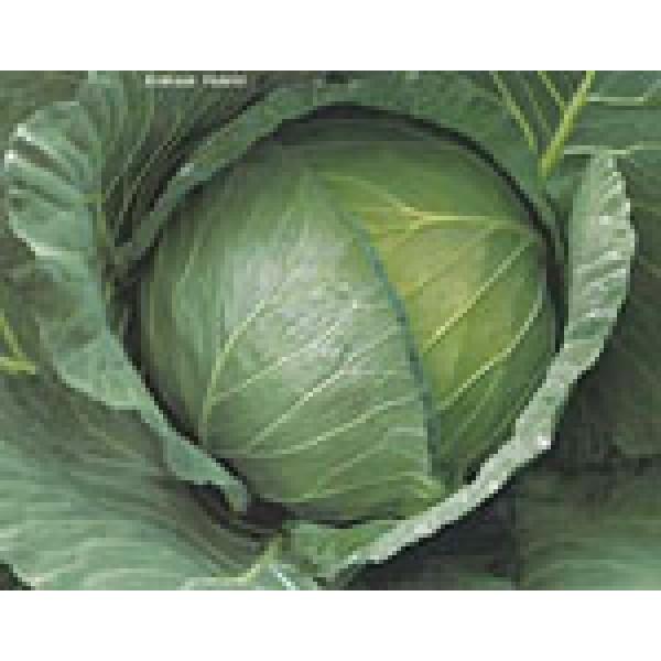 yLxcqz@JlRz@@uijv@2500@s