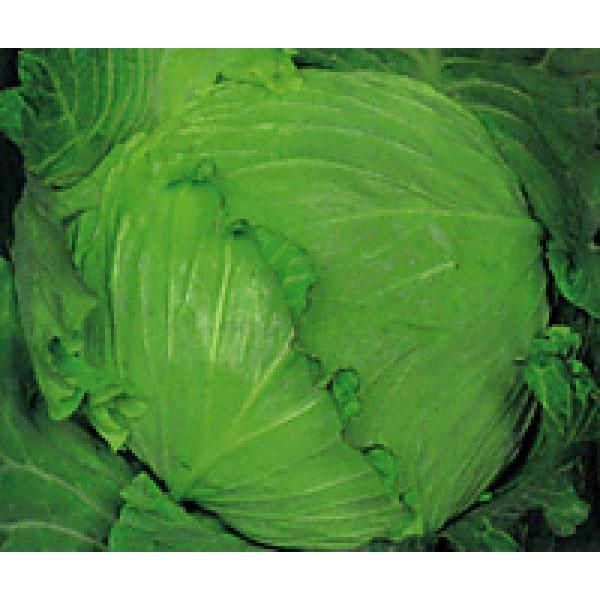 yLxcqzFziێj@iێjugbvv@20@s