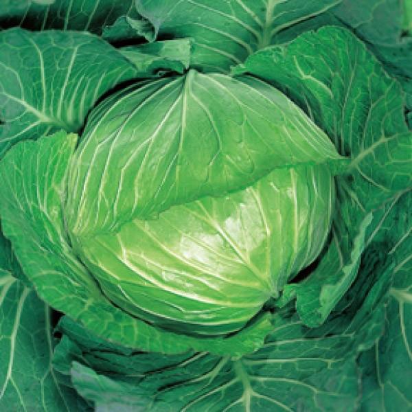 yLxcqzVzia_jui€イjv