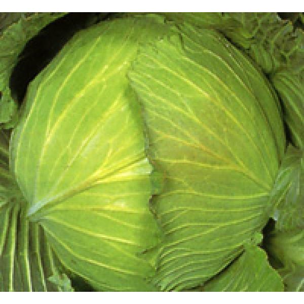 yLxcqzzinӍ̎j@u~nBiӂǂBjv@20@sV^l̂͂5`6ȍ~ƂȂ܂