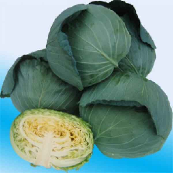 yLxcqznӌzinӔ_j@i܁j@5000R[g@s