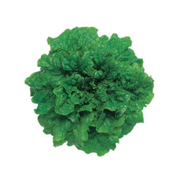 y؍JL`Vqz@^LCc@`}T`itj@GF܁i0.9mlj