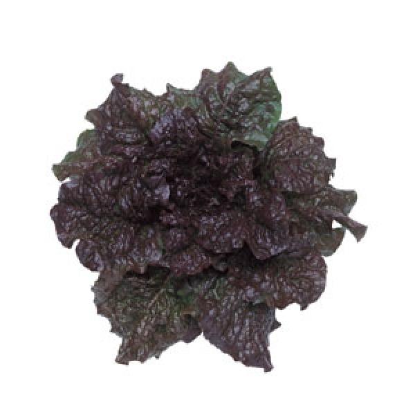 y؍JL`Vqz@^LCc@`}T`iԗtj@GF܁i0.9mlj