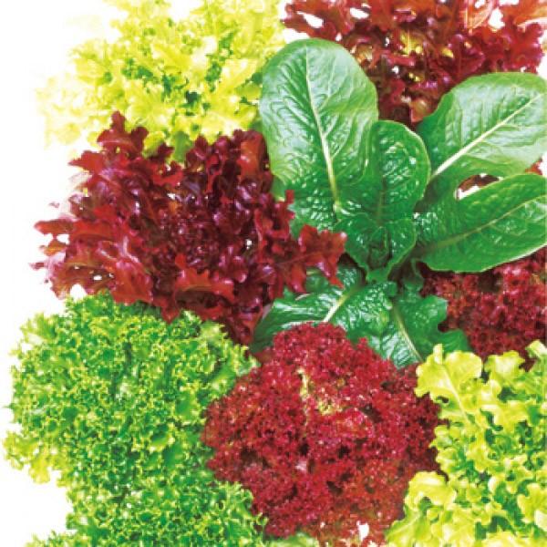 yxr[[t^XqzTJ^琬@K[f^X~bNX@