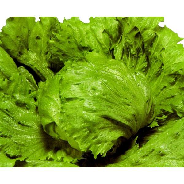 y^XqzEGL琬@@^X̒ԁIuvgv@5000R[g@/s