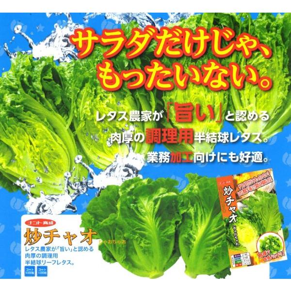 y^Xqzigc@[t^X@uu`IiႨႨjv