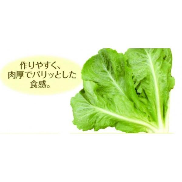 @؁iȂ킵܂ȁj@1y^Xijqz@ȁ`琬it^ocj@@[J[ɂs