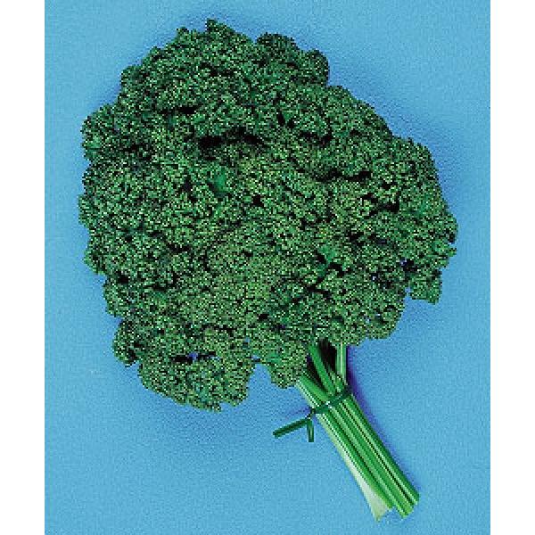 ypZqz@^LC琬@J[Ep}Eg@GF܁i2.2mlj