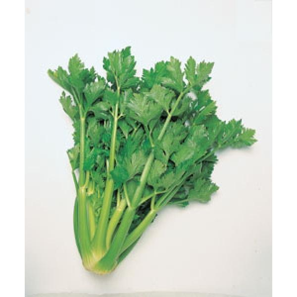 yZ[qz@^LCc@VR[l619@1@s