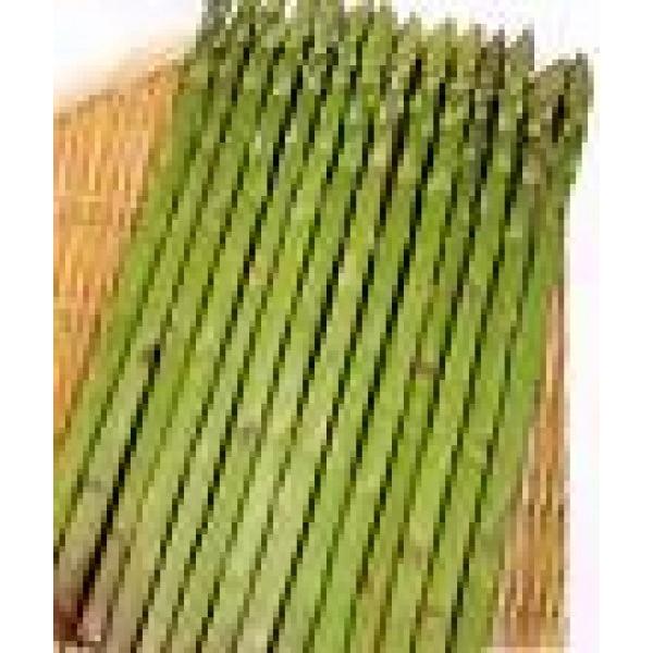 ym؎qzTJ^z@AXpKX@u|[gv@20ml