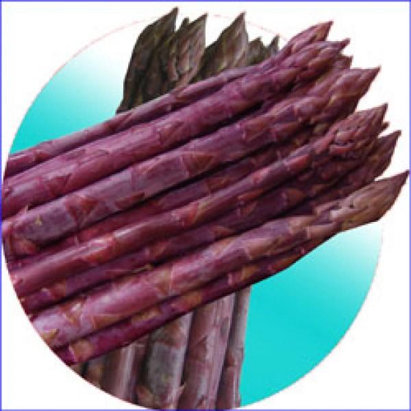 ym؎qznӌzinӔ_jAXpKX@up[v^[v@vC~Oi116ԁj@500@͂2ȍ~\