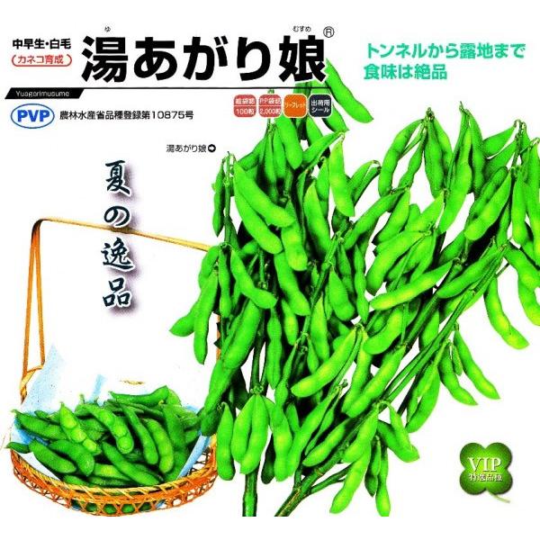 yG_}qzJlR琬@@u薺i䂠ނ߁jv@200@1ȍ~̂͂\ƂȂ܂