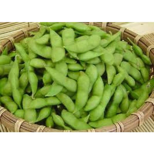 u`iЂłjv 1y}qzsc@Ӑ@3ȍ~̂͂\@