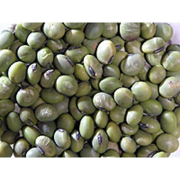 u݂ǂv 50mly}qzsc@Ӑ@3ȍ~̂͂\ƂȂ܂