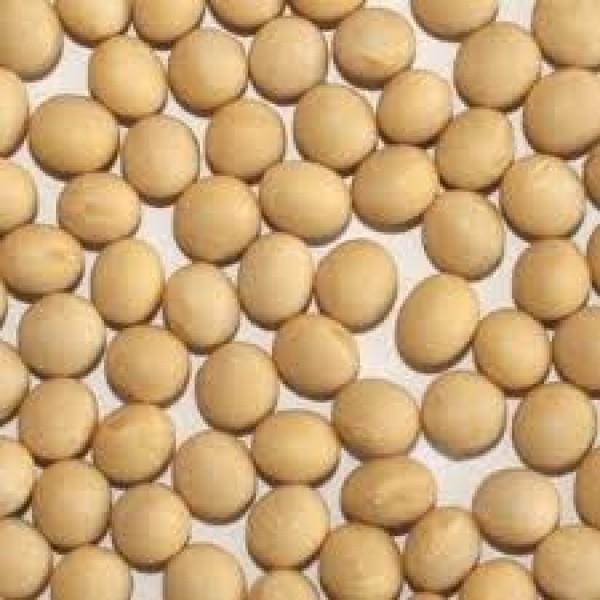 u{锒ځv~MV@1y哤qz哤̍uhi@1ȍ~̂͂\ƂȂ܂