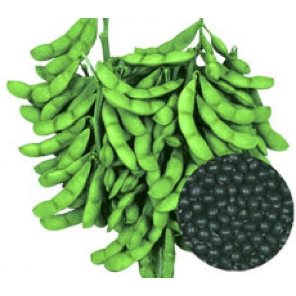 yG_}qz@ێ琬@@X[p[񂭂낤@@1@3ȍ~̂͂\ƂȂ܂