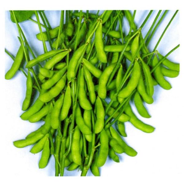 y}qzuzbi悤jv100@PVPo^i큚3ȍ~̂͂\ƂȂ܂B