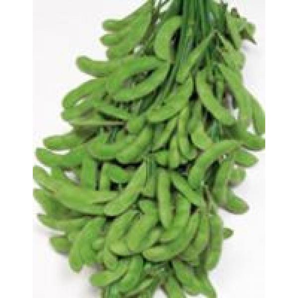 yG_}qzTJ^̃^l@uȕPiȂЂ߁jv@1bg@PVPo^i@s2ȍ~̂͂\ƂȂ܂B