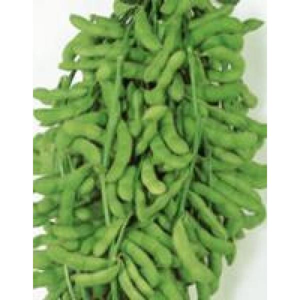 yG_}qzTJ^̃^l@@u[݁i䂤݁jv@@1bg@2ȍ~̂͂\ƂȂ܂B