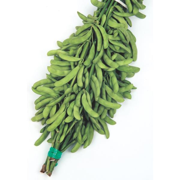 yG_}qzTJ^̃^l@uƂтv@1dl@PVPo^i큚2ȍ~̂͂\ƂȂ܂B