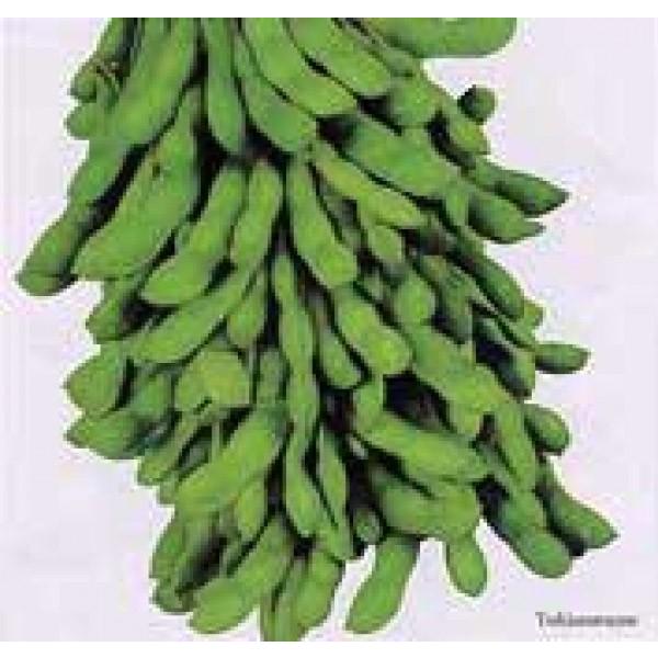 yG_}qzc@uLXv܁@2ȍ~̂͂\ƂȂ܂@qHws