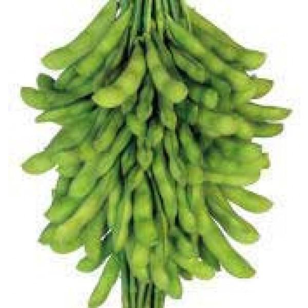 yG_}qzc@ɑu䰉iˁjv܁@PVPo^i큚2ȍ~̂͂\ƂȂ܂@qHws