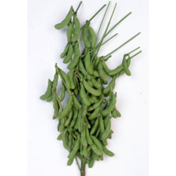 yG_}q zc@Ӑuቹi䂫ˁjv܁@PVPo^i@2ȍ~̂͂\ƂȂ܂@qHws