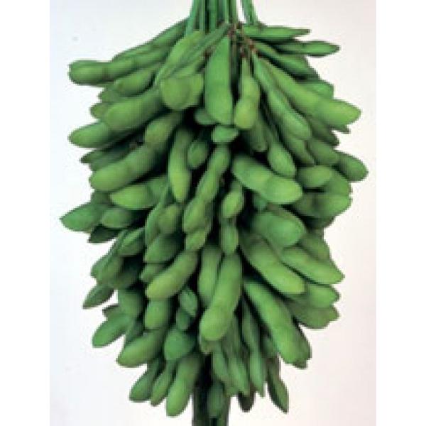 yG_}qzc@uPiЂ߁jv 1bg@PVPo^i큚s2ȍ~̂͂\ƂȂ܂@qH