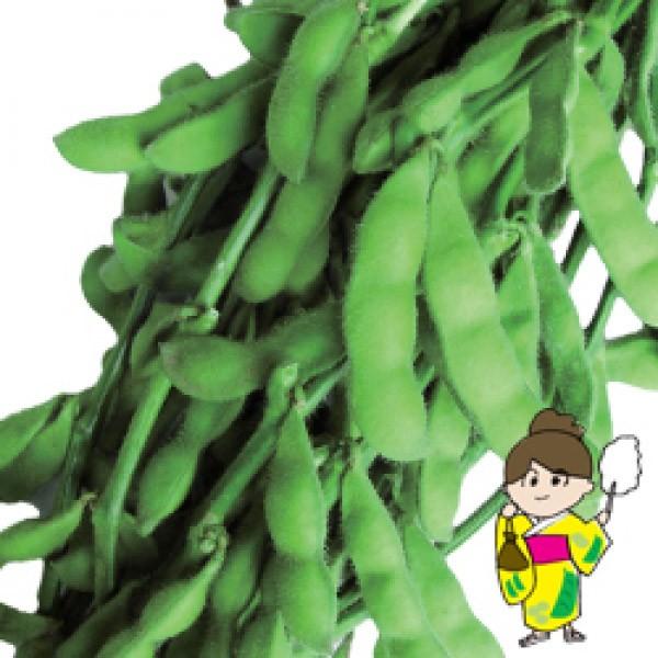 yG_}qzgL^c@@uĎ}iȂjv@ 1dl@2ȍ~̂͂\ƂȂ܂