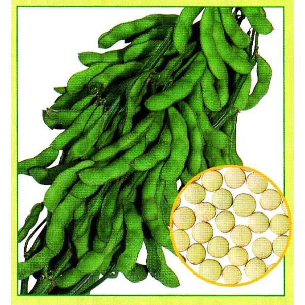 yG_}qznӍ̎@@u̗FîƂjv@1bg  PVPo^i@@s2ȍ~̂͂\ƂȂ܂